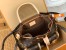 Louis Vuitton Excursion PM Backpack in Monogram Canvas M46932
