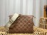Louis Vuitton Coussin PM Bag In Monogram Lambskin M59277