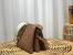 Louis Vuitton Coussin PM Bag In Monogram Lambskin M59277