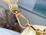 Louis Vuitton Alma BB Bag In Bubblegram Leather M59821