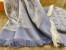Louis Vuitton Light Blue Monogram Denim Shawl M71382