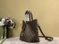 Louis Vuitton Siena MM Bag In Damier Ebene Canvas N41546