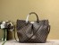 Louis Vuitton Siena GM Bag In Damier Ebene Canvas N41547
