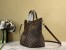 Louis Vuitton Siena GM Bag In Damier Ebene Canvas N41547