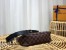 Louis Vuitton Odeon PM Bag In Damier Ebene Canvas N50064