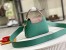 Louis Vuitton Capucines Mini Bag with Python Leather N80931