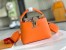 Louis Vuitton Capucines Mini Bag with Python Leather N81210
