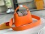 Louis Vuitton Capucines Mini Bag with Python Leather N81210