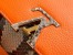 Louis Vuitton Capucines Mini Bag with Python Leather N81210