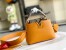 Louis Vuitton Capucines Mini Bag with Python Leather N81410