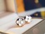 Louis Vuitton Color Blossom Sun Ear Studs Q96425