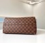 Louis Vuitton Iena MM Bag In Damier Ebene Canvas N41013