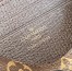 Louis Vuitton Wallet on Chain Iily in Monogram Canvas M82509