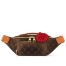 Louis Vuitton Rush Bumbag Bag in Monogram Dust Canvas M11539