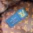 Louis Vuitton Palm Springs Mini Backpack In Nylon M21060