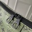 Louis Vuitton Hamac Bag In Green Monogram Canvas M23779