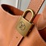 Louis Vuitton Low Key Hobo MM Bag in Brown Leather M24974