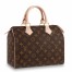 Louis Vuitton Speedy 25 Bag In Monogram Canvas M41109