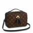 Louis Vuitton Saintonge Bag In Monogram Canvas M43555