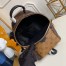 Louis Vuitton Palm Springs PM Backpack In Monogram Canvas M44870 