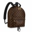 Louis Vuitton Palm Springs MM Backpack In Monogram Canvas M44874
