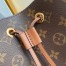 Louis Vuitton Neonoe MM Bag In Monogram Canvas M44887