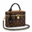 Louis Vuitton Vanity PM Bag In Monogram Canvas M45165
