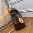 Louis Vuitton Montsouris PM Backpack In Monogram Canvas M45501