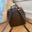 Louis Vuitton Montsouris PM Backpack In Monogram Canvas M45515