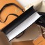 Louis Vuitton Trunk Clutch In White Epi Leather M52151