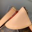 Louis Vuitton Odeon PM Bag In Monogram Canvas M56390