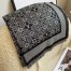 Louis Vuitton Since 1854 Monogram Shawl MP2821
