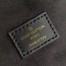 Louis Vuitton Vavin PM Bag In Damier Ebene Canvas N40113