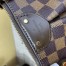 Louis Vuitton Siena MM Bag In Damier Ebene Canvas N41546