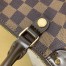 Louis Vuitton Siena MM Bag In Damier Ebene Canvas N41546