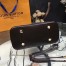 Louis Vuitton Alma PM Bag In Damier Ebene Canvas N53151