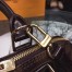 Louis Vuitton Alma PM Bag In Damier Ebene Canvas N53151