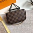 Louis Vuitton Mini Pochette Accessoires In Damier Ebene Canvas N58009