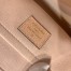 Louis Vuitton Daily Pouch In Damier Ebene Canvas N60261