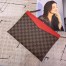 Louis Vuitton Daily Pouch In Damier Ebene Canvas N60262
