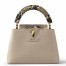 Louis Vuitton Capucines Mini Bag with Python Leather N81258