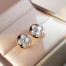 Louis Vuitton Color Blossom Sun Ear Studs Q96425